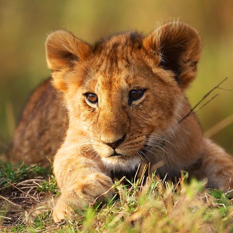 (电脑主题老是自动更换怎么办)电脑桌面主题老是自动更换，如何设定才能固定不变？