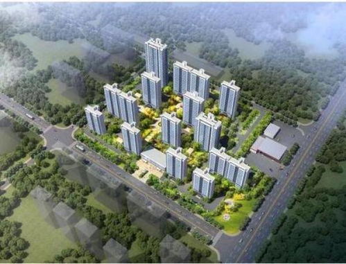 详细分析艾兰岛象草叶片分布图-地形与环境条件对植物生长的影响