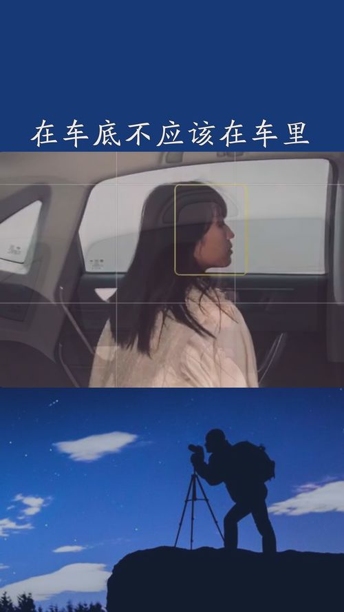 (我不应该在车里我应该在车底歌词是什么歌)我不该在车里我应该在车底：扭曲的现实与心中的欲望