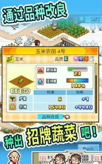 探索老板赚大钱小游戏：如何在虚拟世界中建立商业帝国，实现财富自由