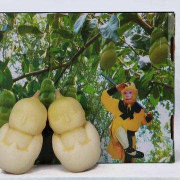 (自在西瓜)自在西游0.1折：无拘无束，尽享惊喜，畅游在优惠的海洋中！