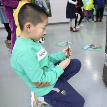 植物大联盟羊驼：揭秘其生态价值和环保焦点，呼唤全球共同保护珍稀物种