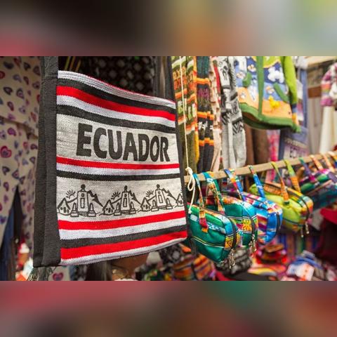 植物大联盟羊驼：揭秘其生态价值和环保焦点，呼唤全球共同保护珍稀物种