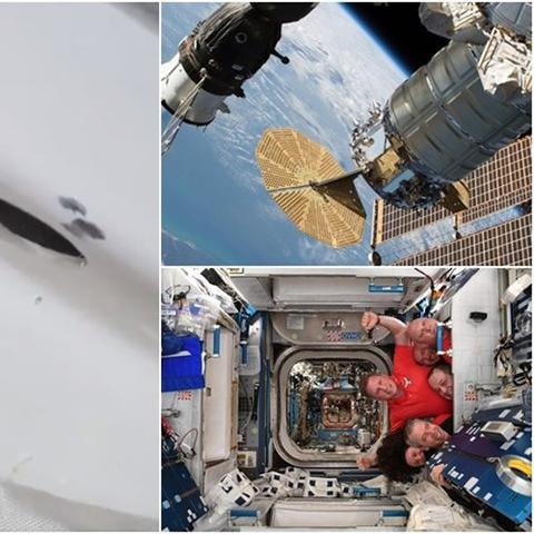 深度探索：'带我回家'俄罗斯版——如何在异国找到生活的归属与思乡情怀的表达