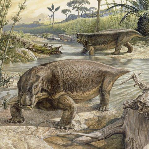 (恐龙岛正版手游)探秘恐龙岛测试服手机版：全新版本尽享原始魅力！