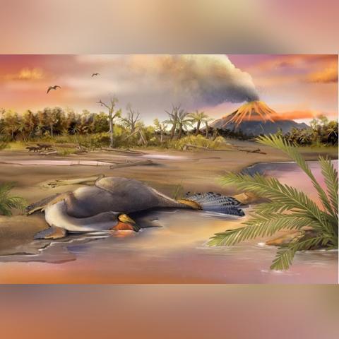 (恐龙岛正版手游)探秘恐龙岛测试服手机版：全新版本尽享原始魅力！