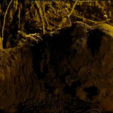 (挖金子游戏第二关攻略)探险乐园：挖金子的小游戏，发现无尽宝藏收获满满惊喜