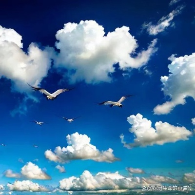 (逍遥于天地间)逍遥天地间:在自然的怀抱中寻找心灵的宁静与自由 (逍遥于天地间)逍遥天地间:在自然的怀抱中寻找心灵的宁静与自由