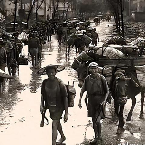 电脑算命作为新兴科技现象，是时代进步的体现还是迷信传统的延续？