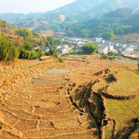 (耕耘者的意思)耕者无忧暗示着努力付出的人将会有所收获 (耕耘者的意思)耕者无忧暗示着努力付出的人将会有所收获