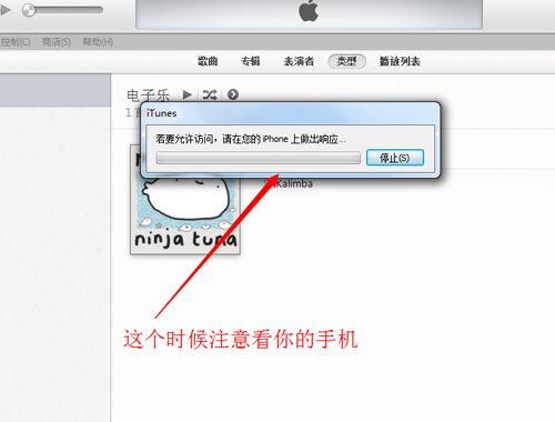 (苹果5s手机怎么连接到电脑)详细教程:如何通过相关软件将苹果5手机成功连接到电脑 (苹果5s手机怎么连接到电脑)详细教程:如何通过相关软件将苹果5手机成功连接到电脑