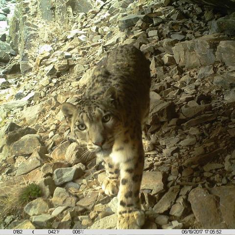 (奇幻仙踪之魔幻归来)深入奇幻世界:探寻魔幻仙踪动画片中奇幻的故事与奇迹 (奇幻仙踪之魔幻归来)深入奇幻世界:探寻魔幻仙踪动画片中奇幻的故事与奇迹