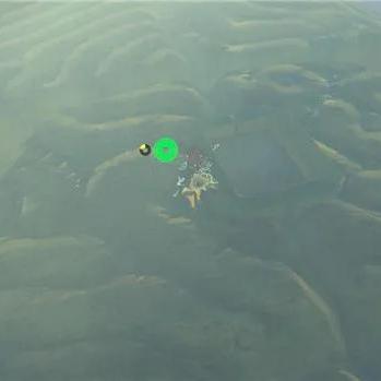 (天空之拄在哪)探秘天空之息攻略：震撼世界、解谜冒险，成为强大勇士！