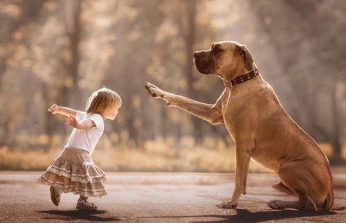 家用电脑与游戏 大狗:如何选择适合你的游戏电脑以及大狗的好处和使用技巧 家用电脑与游戏 大狗:如何选择适合你的游戏电脑以及大狗的好处和使用技巧