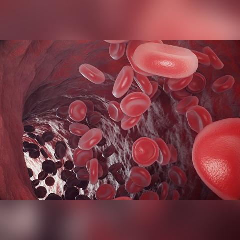 细胞大作战中文版全集：揭秘人体微观世界的奇妙旅程与生命奇迹