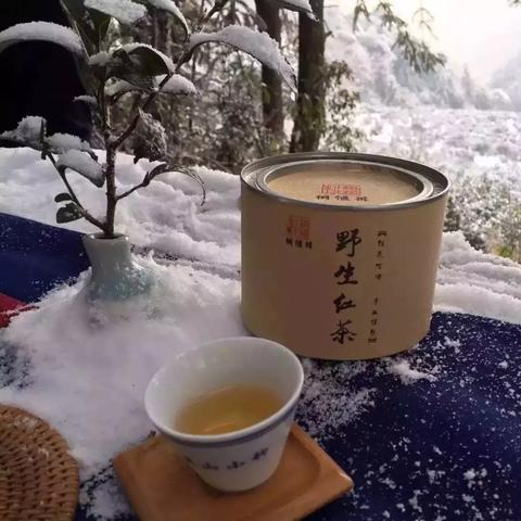 探秘神秘世界：激动人心的代号系列游戏集锦，让你沉浸其中无法自拔