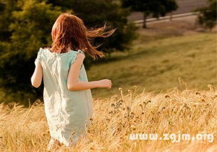 一探梦幻旅人网名背后的秘密：如何诠释其蕴涵的个性与追求，以及对自由漫游世界的深度向往