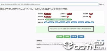 (迅雷广告加速多久出现一次)探索迅雷如何通过观看广告来有效增加云添加次数的策略与方法