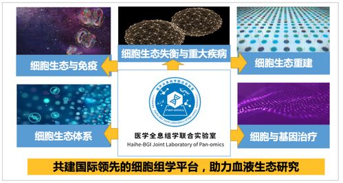 (细胞世界探秘心得体会)探索细胞世界游戏：揭开微观生物的神秘面纱与科学奥秘