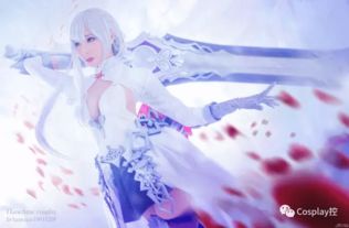 (死亡爱丽丝 白雪姬)死亡爱丽丝与白雪姬：两位童话女主角的终结之旅