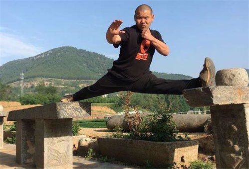 (功夫喵星人下载)功夫喵星人官方TV版：猫咪武术大片，保卫家园的萌宠战士