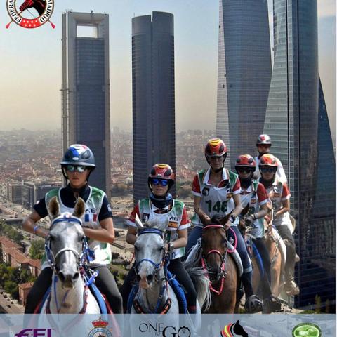 骑马与施法免广告：探讨骑乘动作游戏中的魔法施放技巧及避免广告干扰的有效方式