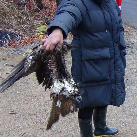 尝鲜猎码计划0.1折！新奇创意折扣来袭，限时优惠快来体验！