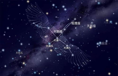 探秘焕然异星秘籍:如何打开这个神秘的宇宙密码? 探秘焕然异星秘籍:如何打开这个神秘的宇宙密码?