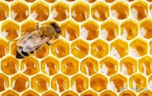 (小蜜蜂主播)网友质疑小蜜蜂老师直播是否真实可靠值得信赖? (小蜜蜂主播)网友质疑小蜜蜂老师直播是否真实可靠值得信赖?