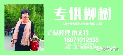 (乔梁叶心仪阅读1450-~2000章)乔梁叶心仪最经典1628章,纯美、唯美、动人至极 (乔梁叶心仪阅读1450-~2000章)乔梁叶心仪最经典1628章,纯美、唯美、动人至极