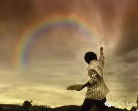 (闪亮的我:在梦想与坚持中绽放光芒的成长故事)闪亮的我：在梦想与坚持中绽放光芒的成长故事